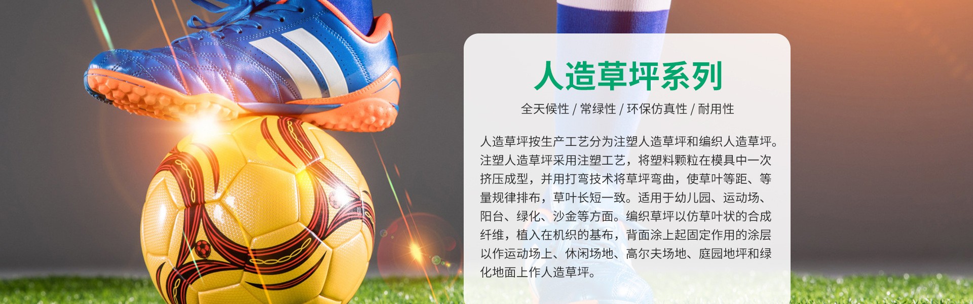 山东岳洋体育设施工程有限公司