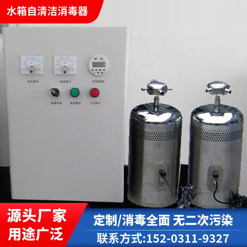 净化除藻自洁消毒器遂宁 微电解水箱消毒设备 臭氧发生器