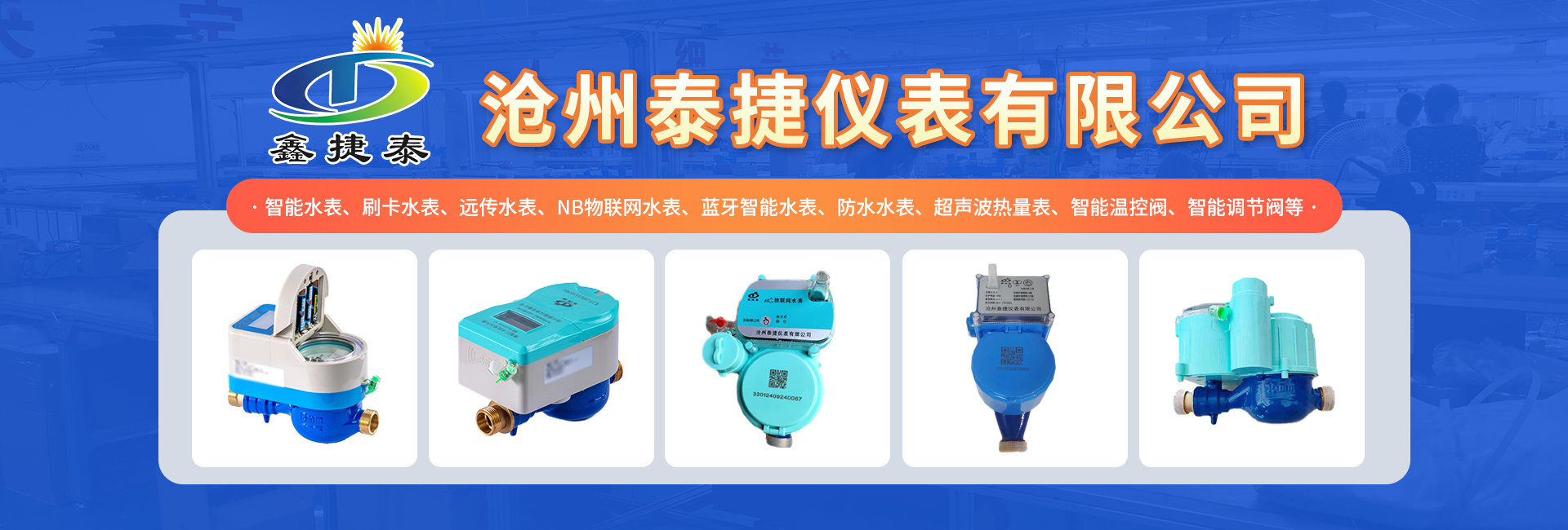 沧州泰捷仪表有限公司