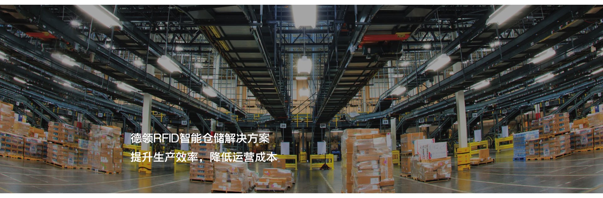 青岛德领智能科技有限公司