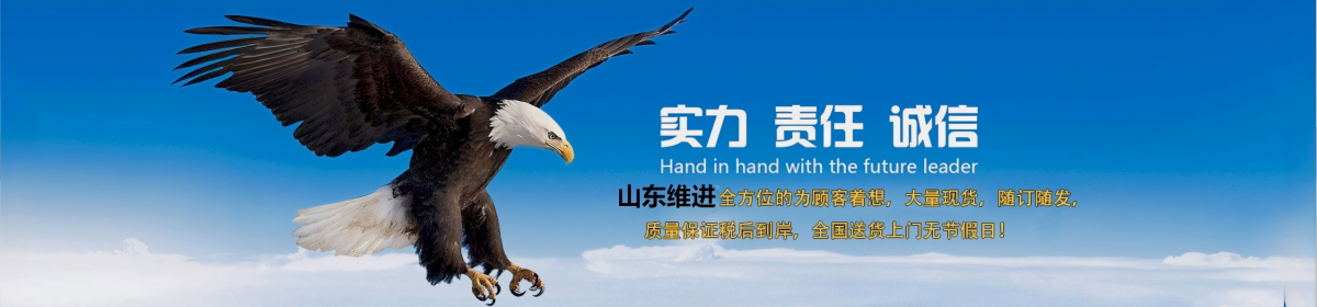 山东维进化工科技有限公司