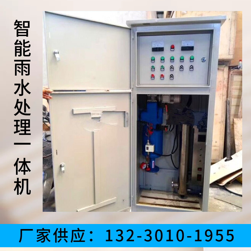 智能雨水处理一体机 学校废水过滤净化设备 雨水收集过滤设备福建