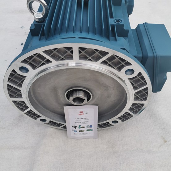 千业牌 进口特殊电动机 来图制造 出口非标定制电机