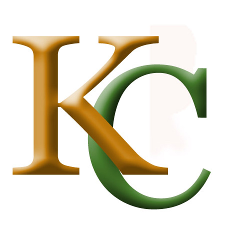 深圳市凯驰电动车有限公司