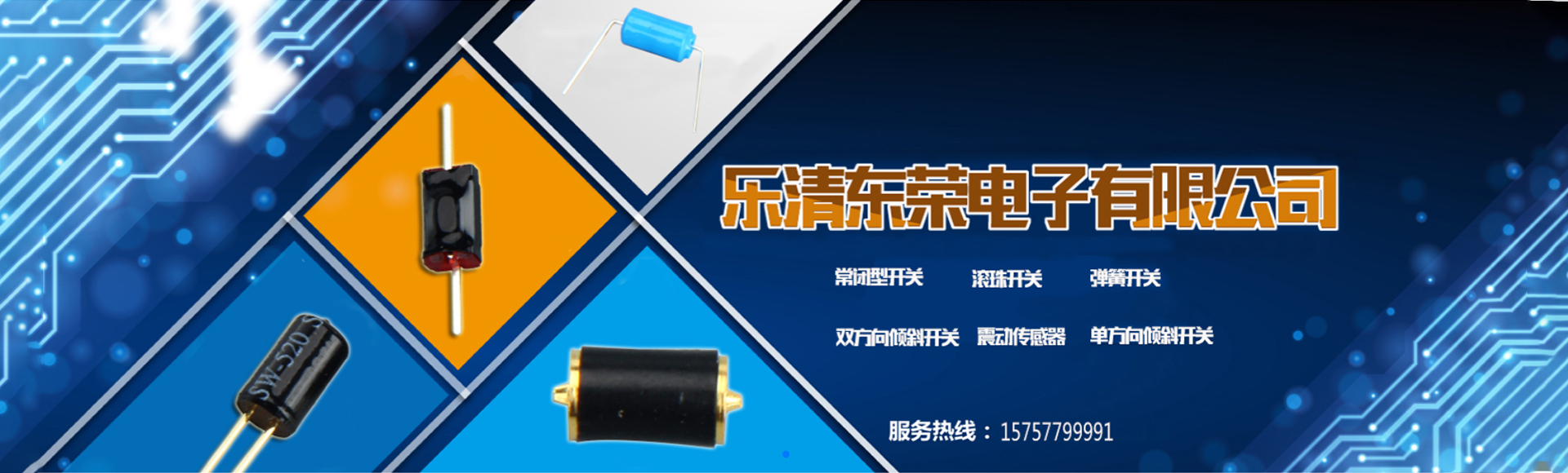 乐清市东荣电子有限公司