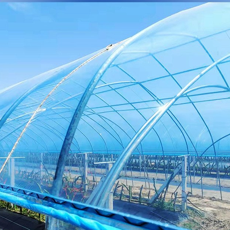 温室大棚膜PO膜散射膜利得膜黑白膜双防膜灌浆膜地膜