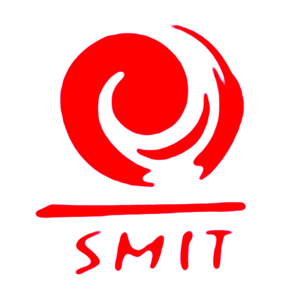 天津斯秘特精密仪表股份有限公司