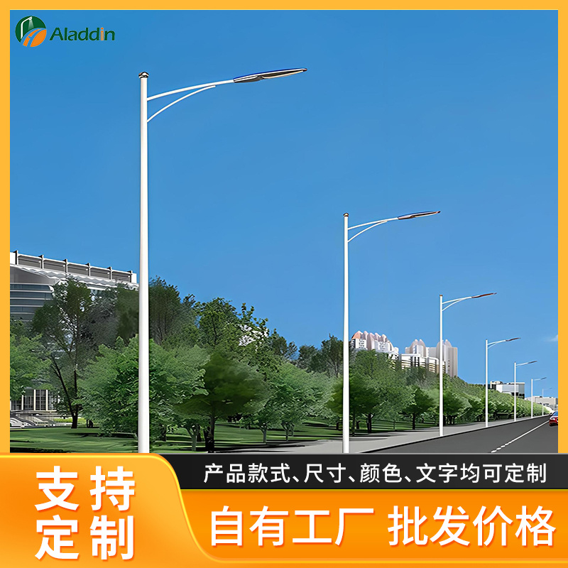 Led路灯杆户外新农村4/5/6/8/10/12米小区广场市电道路灯