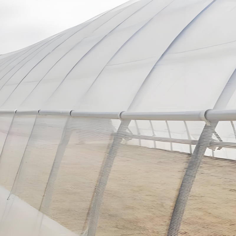 大棚防虫网夏天必不可少