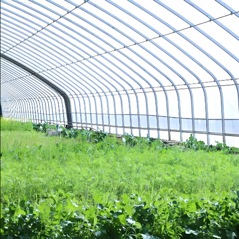 蔬菜冷棚一亩地大概多少钱