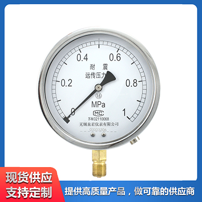 氧气压力表 乙炔压力表 氢气压力表 TN耐震压力表 高精度智能数字  高效率