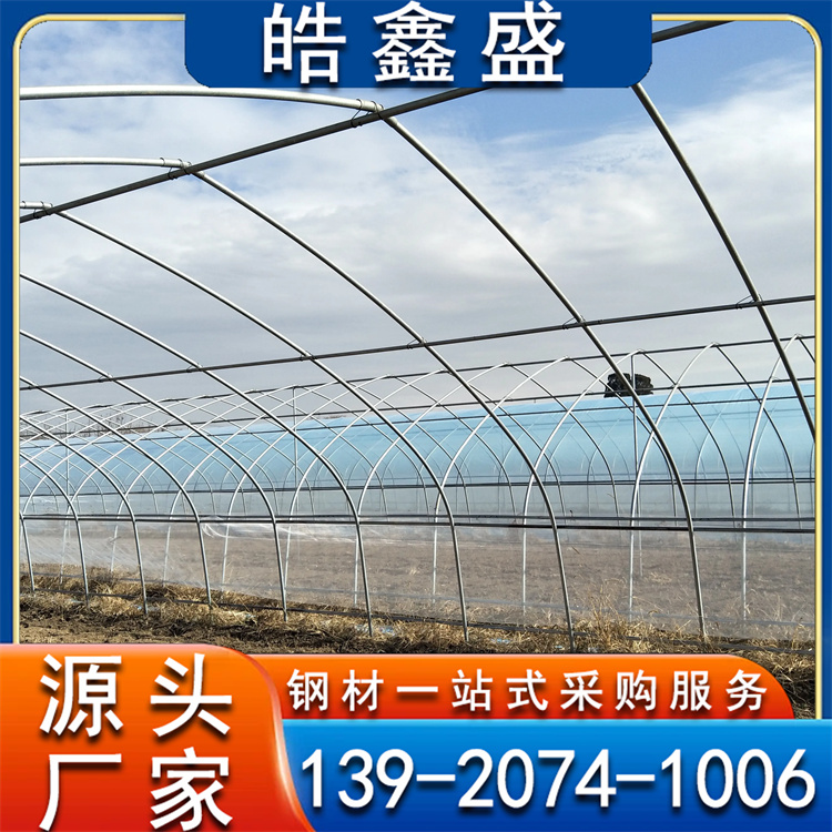 土墙日光温室大棚造价 简易养鸡 大棚骨架 建造 可加工