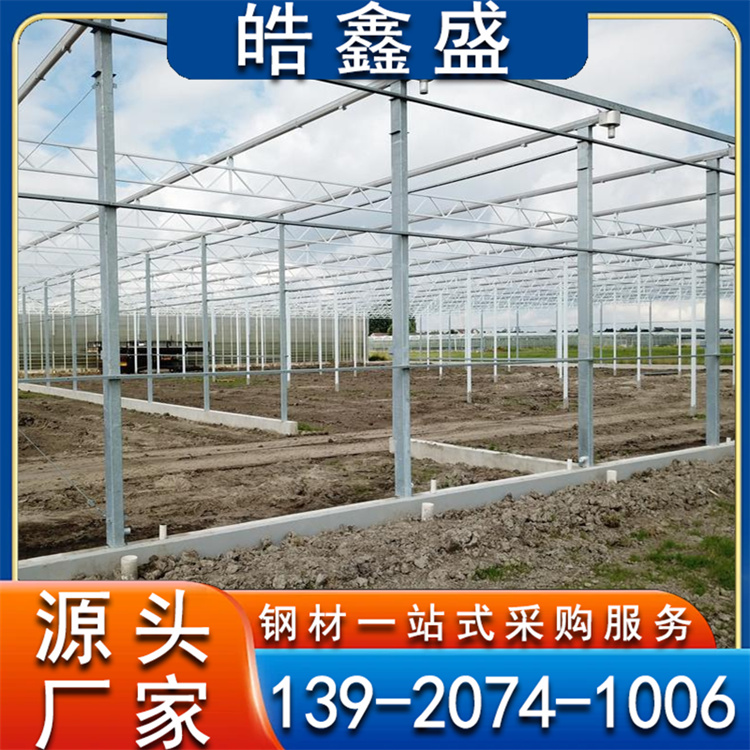 日光温室大棚造价 瓜果暖棚 保温好 蔬菜育苗 薄膜连栋大棚 双膜棚厂家