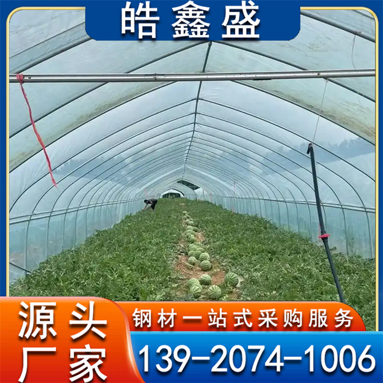 薄膜温室大棚  西瓜棚 蔬菜养殖大棚 花卉育苗棚