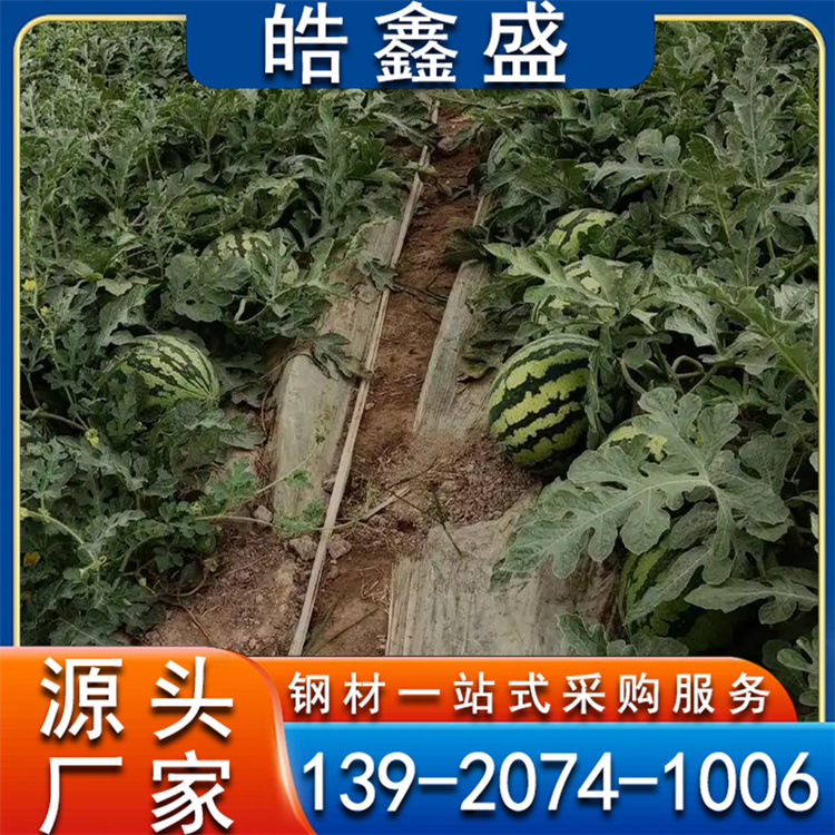 连栋连体棚 花卉西瓜棚 草莓棚 一寸插地棚 拆卸方面 经久耐用