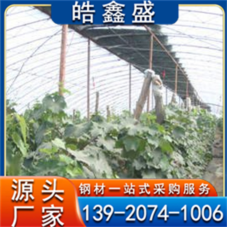 蔬菜大棚 透光好 葡萄避雨棚 草莓棚 观光棚 果树种植暖棚厂