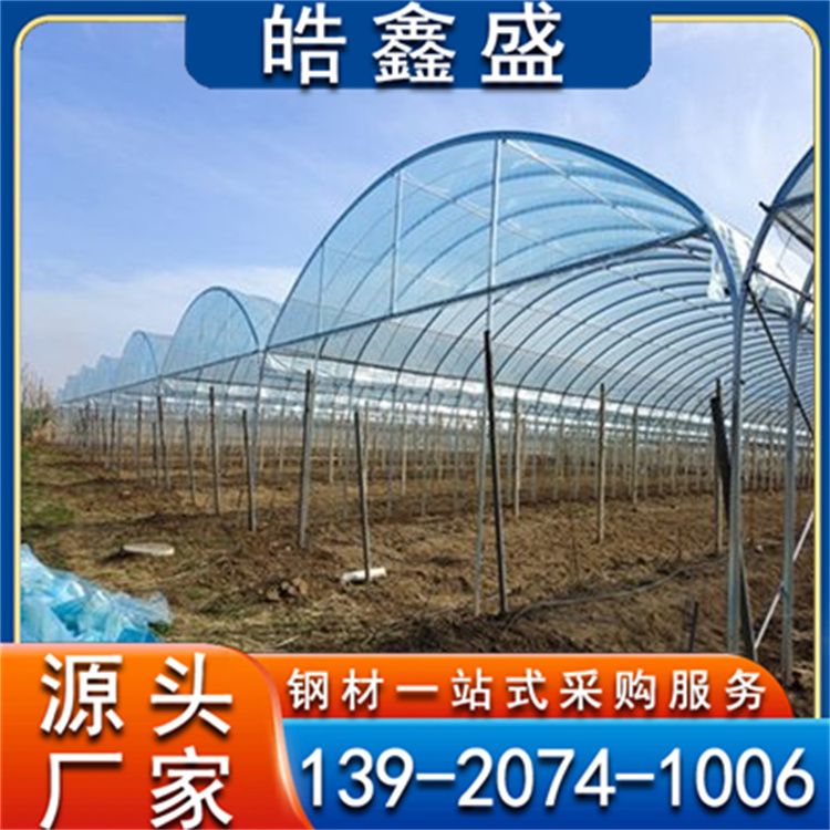 温室葡萄避雨棚 樱桃避雨棚蓝莓插地棚 蔬菜瓜果种植并肩大棚