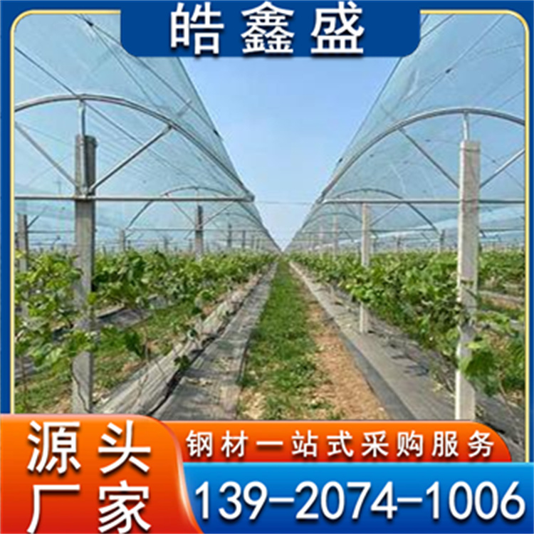 草莓种植大棚 葡萄避雨棚节能环保  温室大棚 大棚骨架 可定制