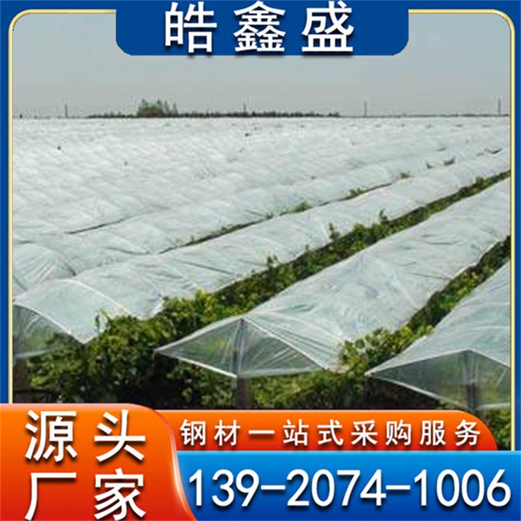 钢结构玻璃温室 种植葡萄避雨棚 草莓棚 美观大方