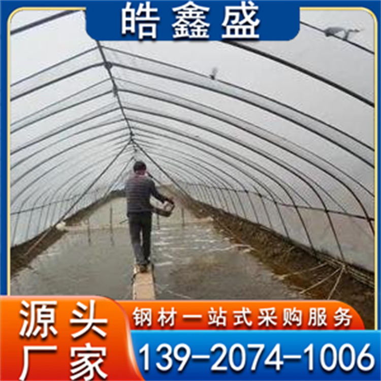 养鱼大棚 养虾棚 水产养殖温室大棚 采光性好