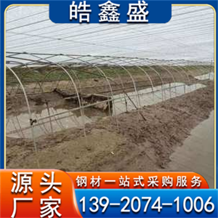 日光温室大棚 抗风 养鱼养虾棚 塑料薄膜覆盖 耐用年限长