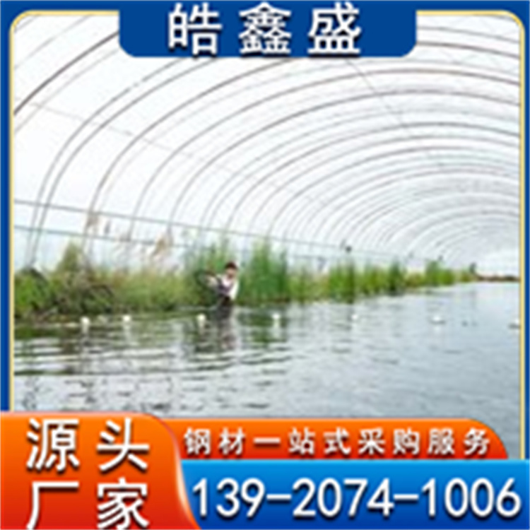 搭建蔬菜大棚 养虾棚 养鱼棚 全钢架温室建设 安全稳定