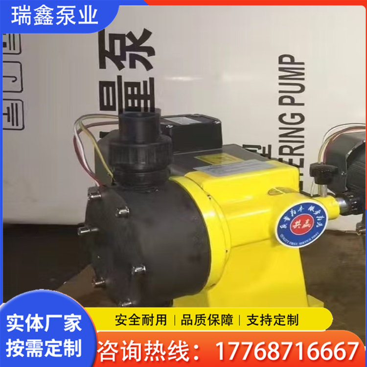 计量泵  江苏瑞鑫  高品质