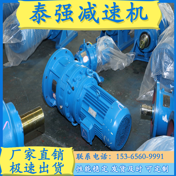 泰强减速机 摆线针轮减速机  定制