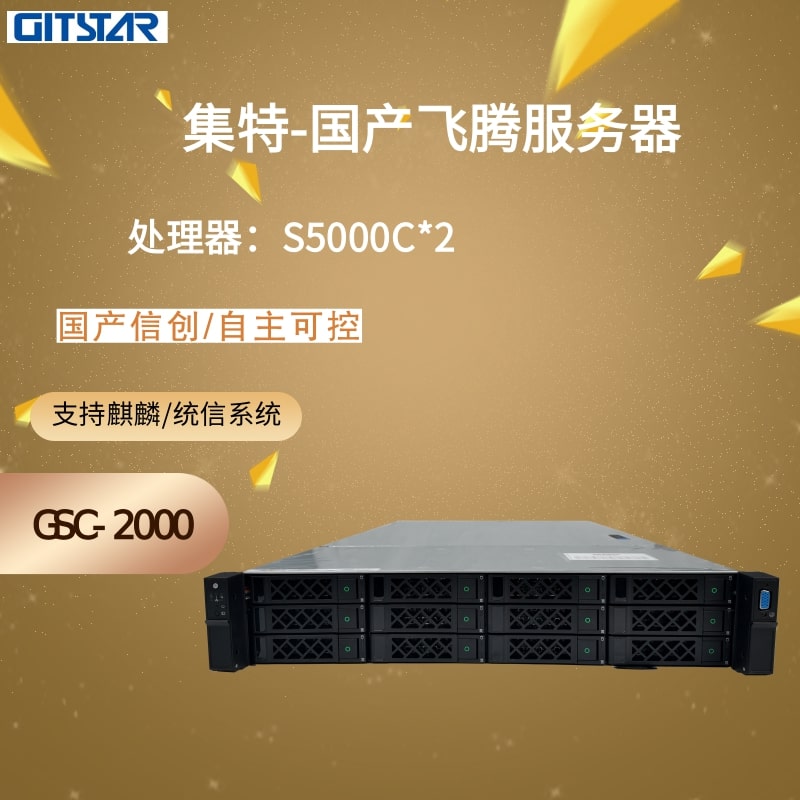 集特 2U机架式国产化飞腾S5000C/64G内存/256GSSD