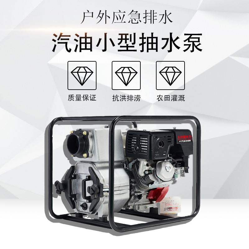 大泽动力4寸汽油自吸水泵TOTO40EW-G