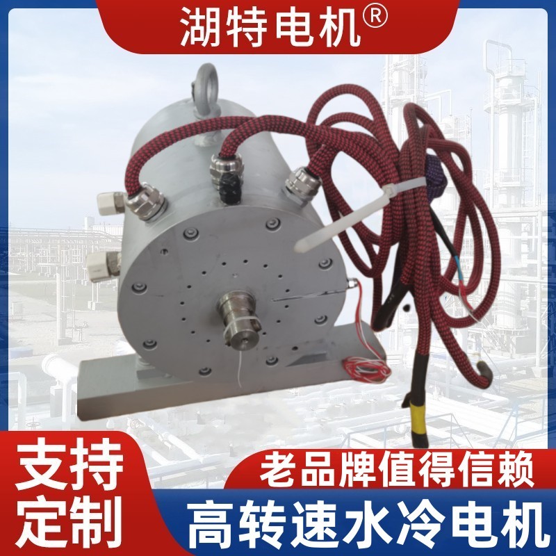 高速永磁同步电机30000转