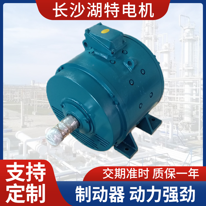 WZ250涡流制动器生产厂家焦化车间用