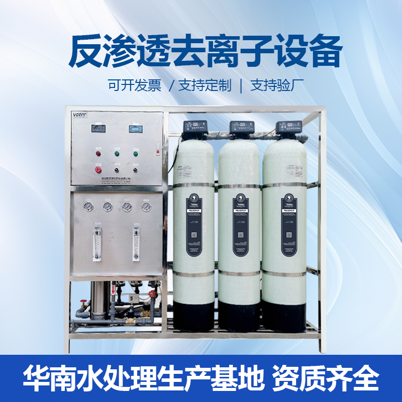 去离子水处理设备 双级反渗透水处理机EDI工业超纯水