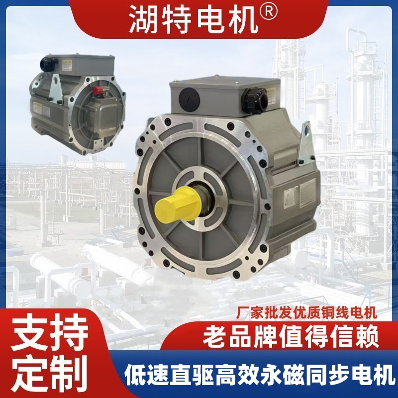 生产批发低速大扭矩电机