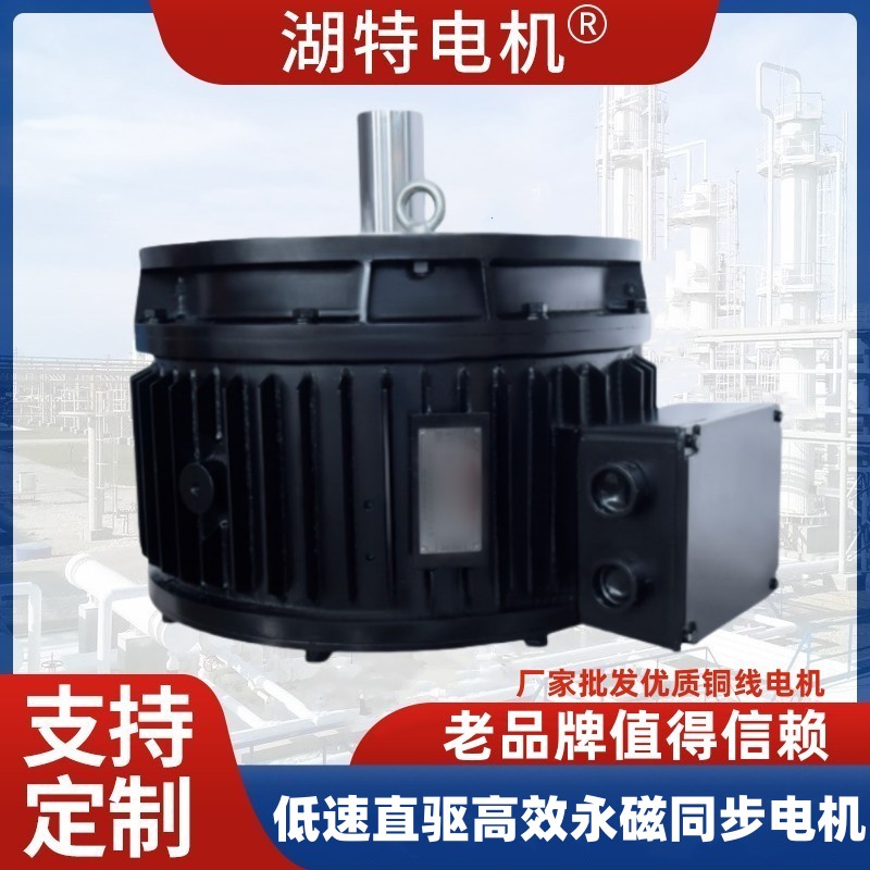 生产批发低速永磁直驱电动机