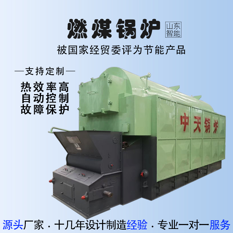 畜牧养殖燃煤锅炉 安装简便 节能环保锅炉 源头厂家