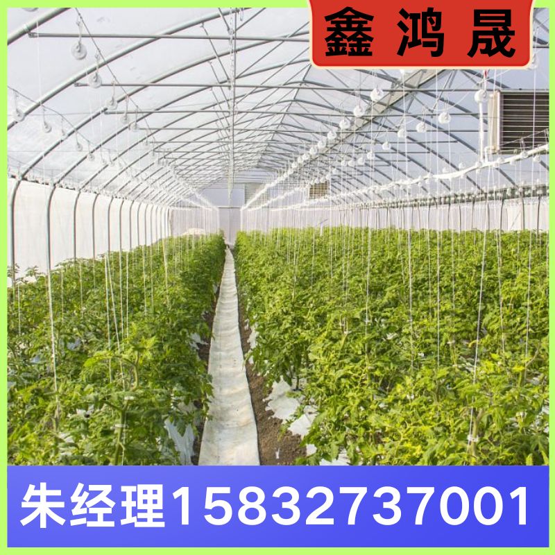 大棚 大棚厂家 大棚生产厂家 天津大棚生产厂家