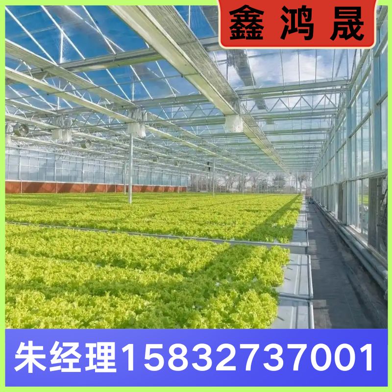 温室大棚 温室大棚厂家 温室大棚生产厂家 天津温室大棚生产厂家