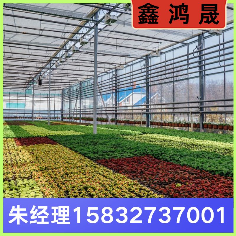 智能大棚 智能大棚厂家 智能大棚生产厂家 天津智能大棚生产厂家