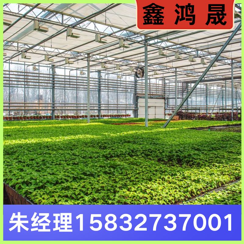 智能温室大棚  智能温室大棚厂家   天津智能温室大棚生产厂家