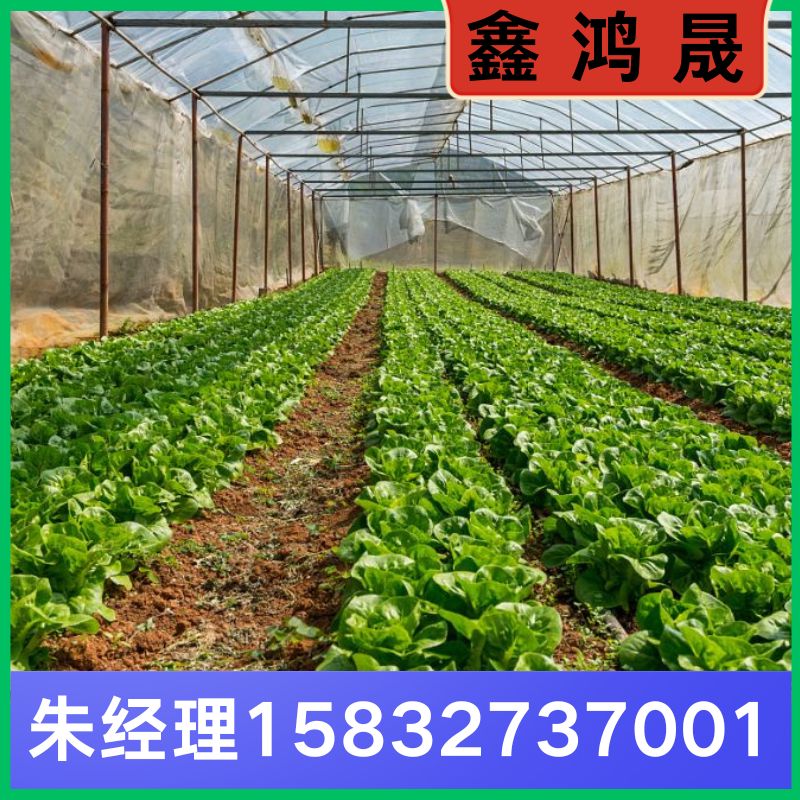 蔬菜大棚 蔬菜大棚厂家 蔬菜大棚生产厂家 天津蔬菜大棚生产厂家