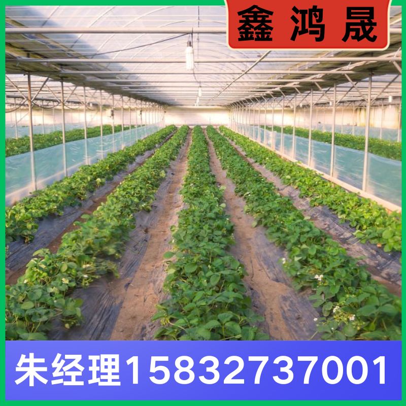 种植大棚 种植大棚厂家 种植大棚生产厂家 天津种植大棚生产厂家