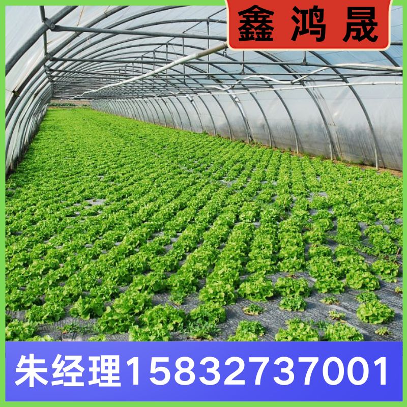 塑料大棚 塑料大棚厂家 塑料大棚生产厂家 天津塑料大棚生产厂家