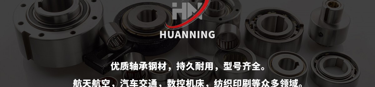 常州市环聍轴承制造有限公司