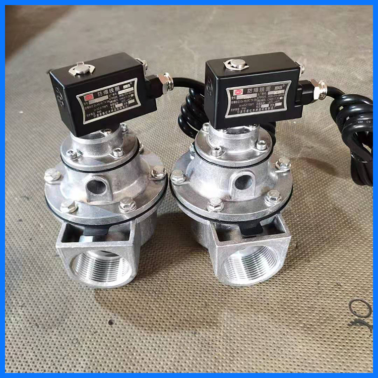 除尘器脉冲阀 电磁脉冲阀 防爆电磁脉冲阀