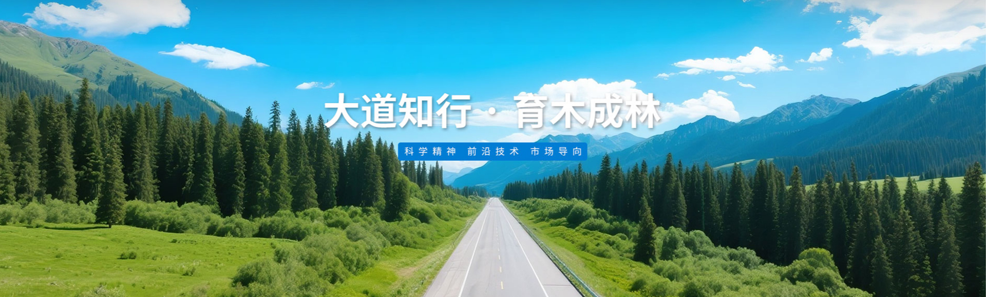 河南大林橡胶通信器材有限公司