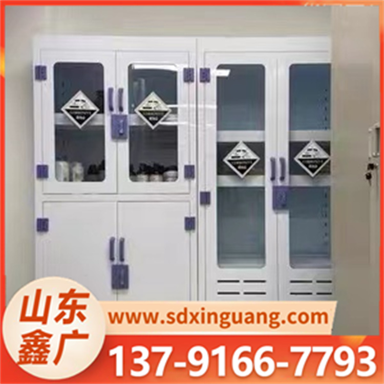pp药品柜 耐酸碱实验室柜 样品存储柜可选