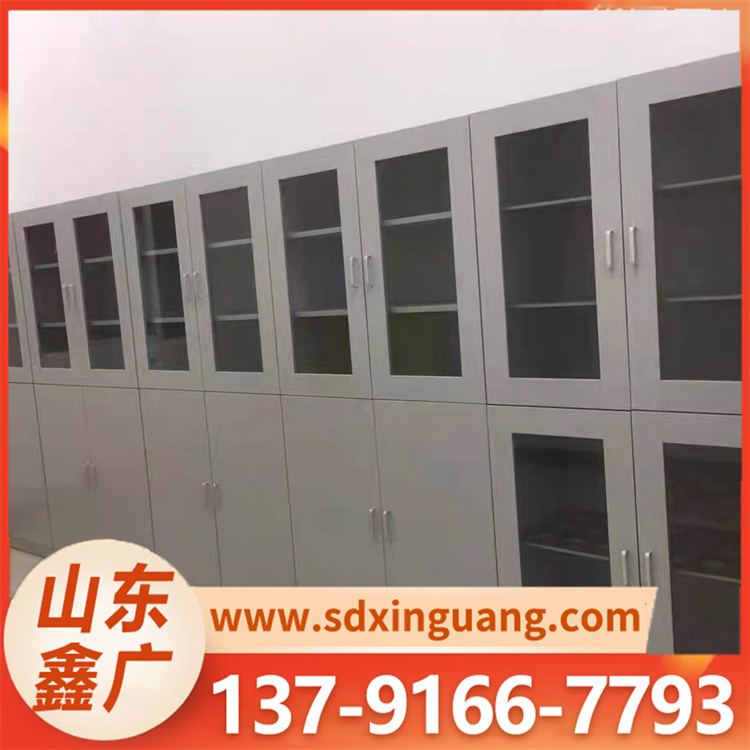 全钢药品柜 环保材质 稳定安全 适合存放常规药品