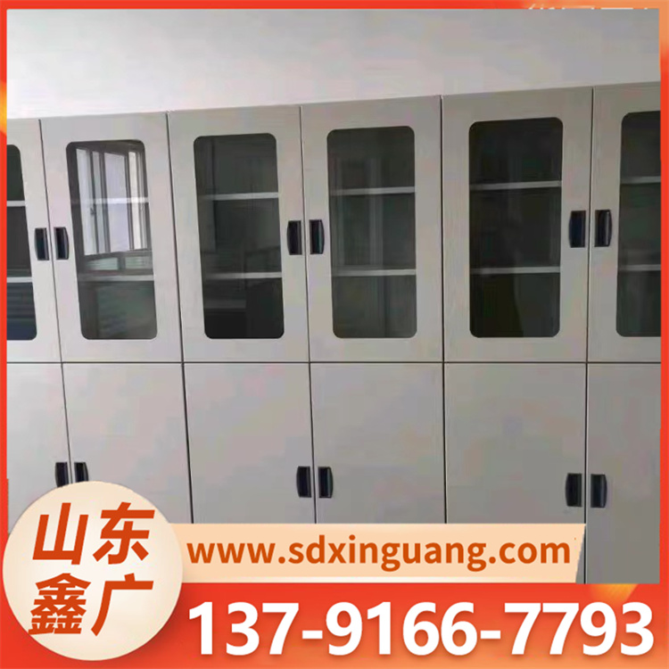 全钢药品柜 耐酸碱腐蚀 适合存放化学试剂 定制