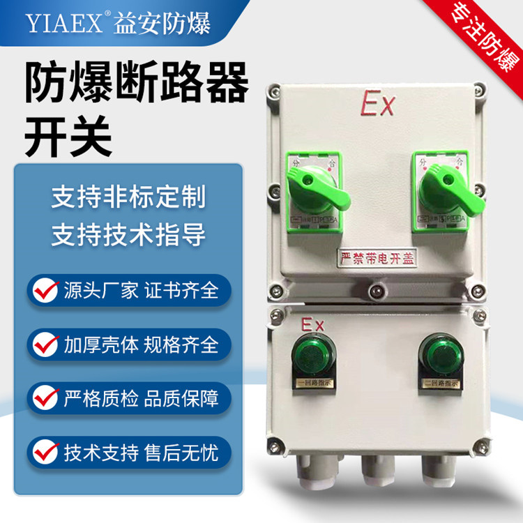 防爆断路器开关 带漏电保护防尘开关